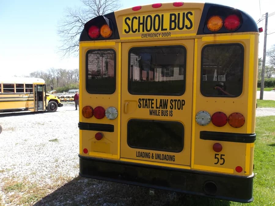 2014 IC CE School Bus - Image 4
