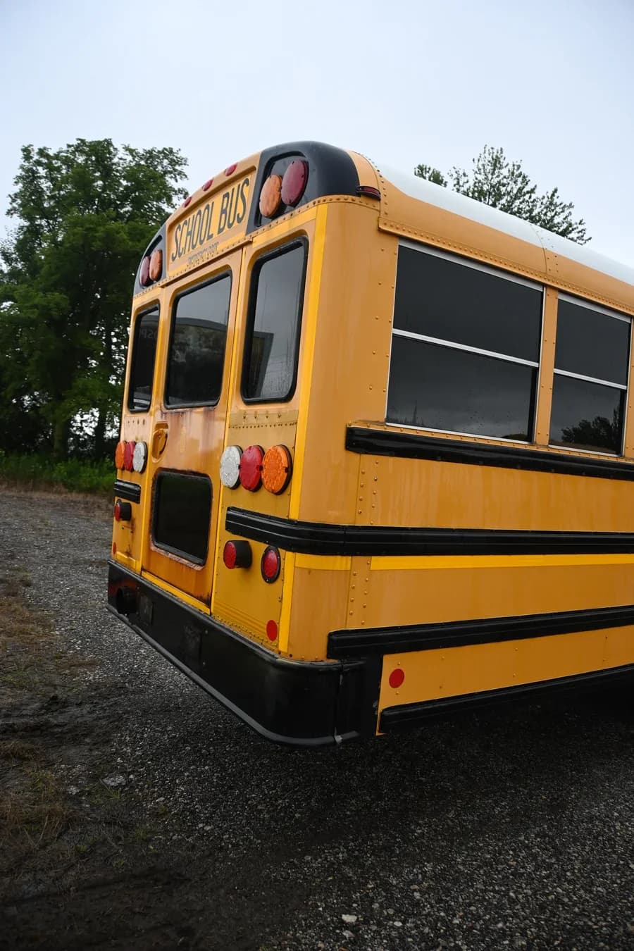 2015 IC CE Type D School Bus - Image 4