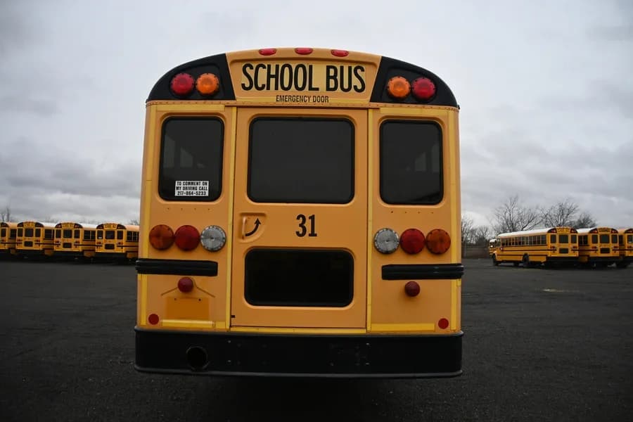 2016 IC CE School Bus - Image 2