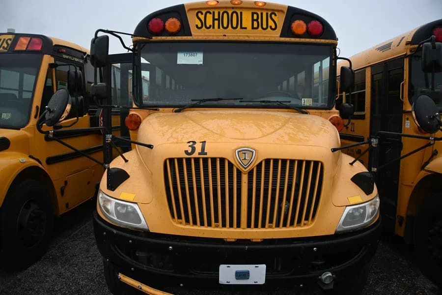 2016 IC CE School Bus - Image 4