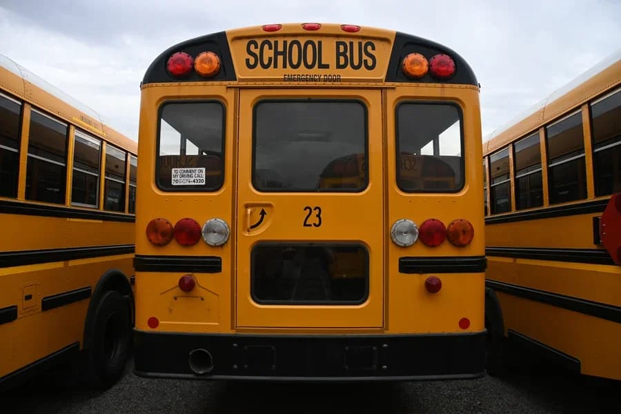 2017 IC CE S CONV School Bus - Image 3