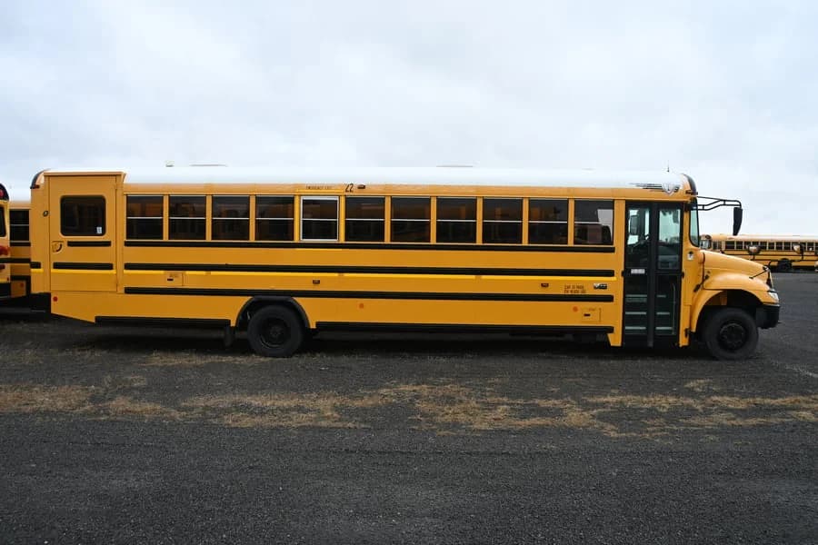 2019 IC CE School Bus - Image 2