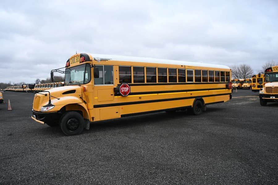 2019 IC CE School Bus - Image 1