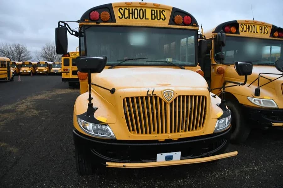 2019 IC CE School Bus - Image 3