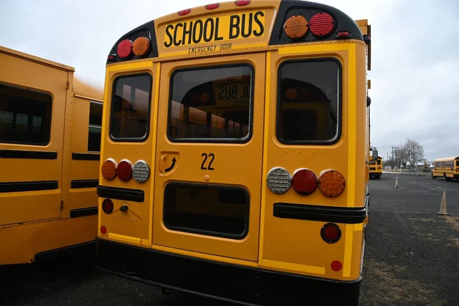 2019 IC CE School Bus - Image 4