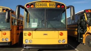 2010 Thomas Built Buses Type D bus