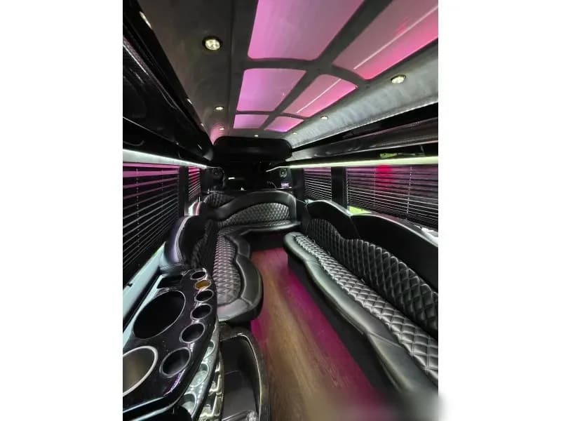 2016 Mercedes-Benz Sprinter Party Bus - Image 5