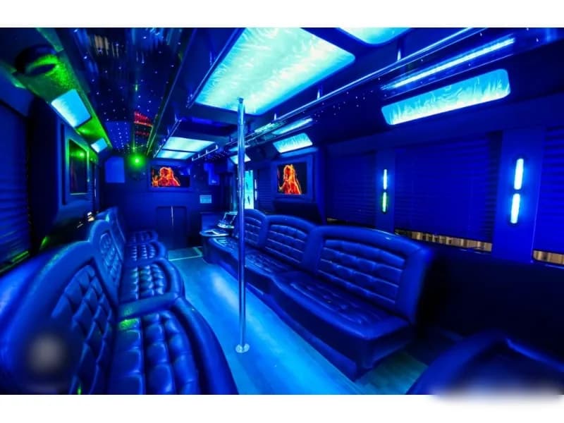 2017 Ford F-550 Tiffany Party Bus - Image 4