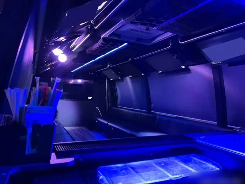 2013 Ford F-550 Party Bus - Image 10