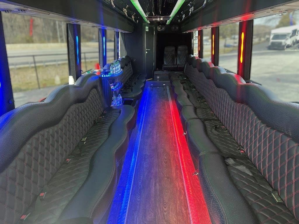 2013 Temsa TS30 Limo Party Bus - Image 6