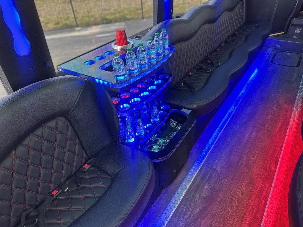 2013 Temsa TS30 Limo Party Bus - Image 8