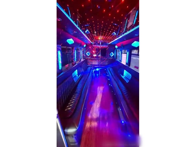 2010 Ford E-450 Limo Bus - Image 7