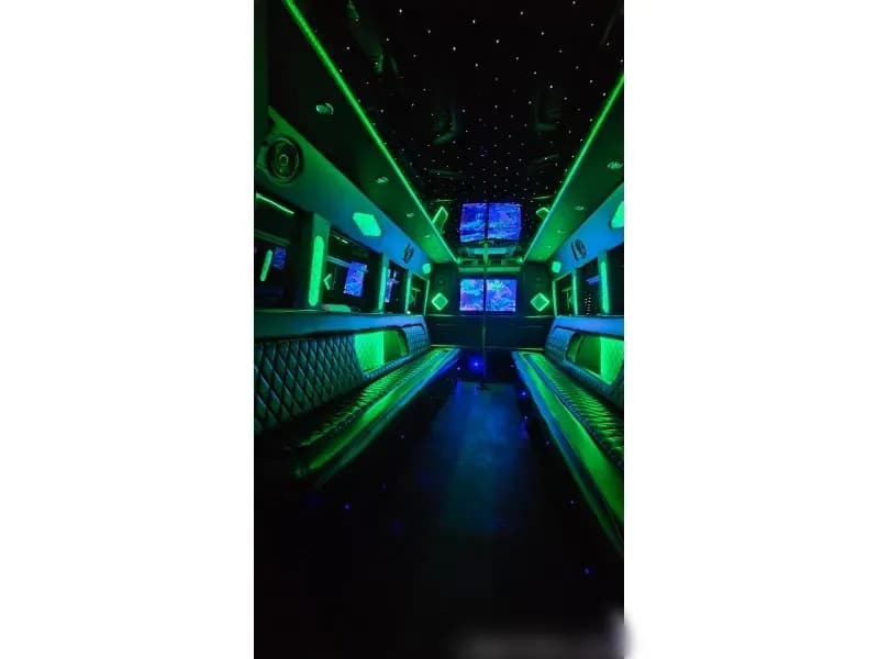 2010 Ford E-450 Limo Bus - Image 8