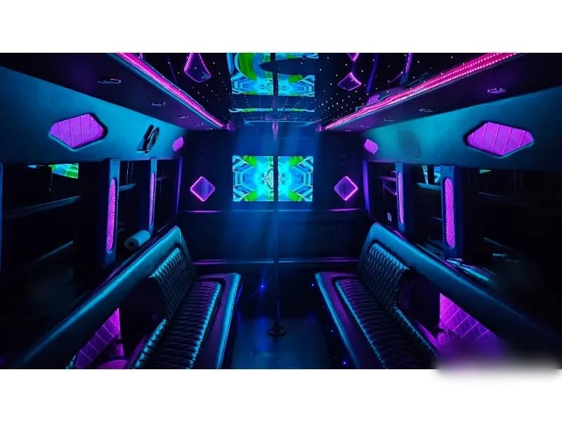 2010 Ford E-450 Limo Bus - Image 9