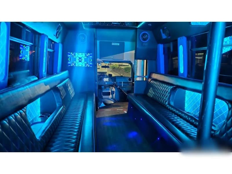 2010 Ford E-450 Limo Bus - Image 10