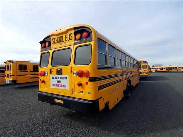 2019 Blue Bird Dog Nose School Bus - Image 4