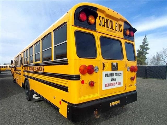 2019 Blue Bird Dog Nose School Bus - Image 2