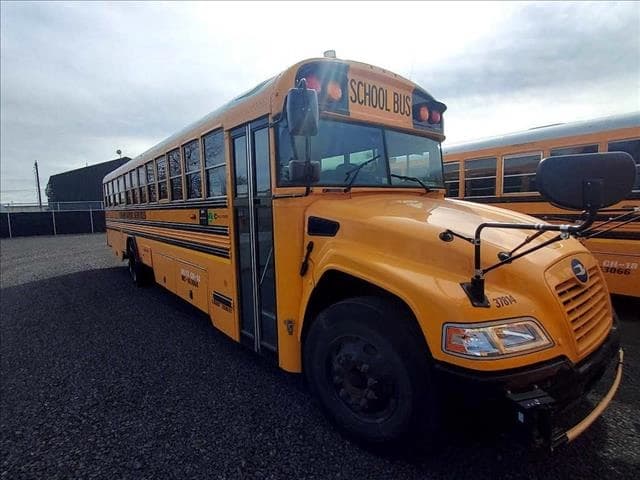2019 Blue Bird Dog Nose School Bus - Image 3