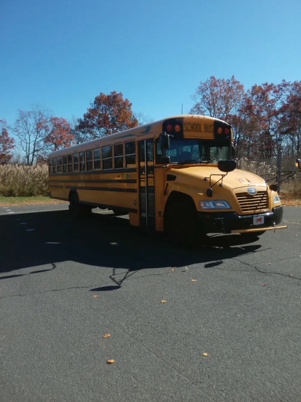 Group of 10 2018/2019 Blue Bird BB CV 3303 - Image 4