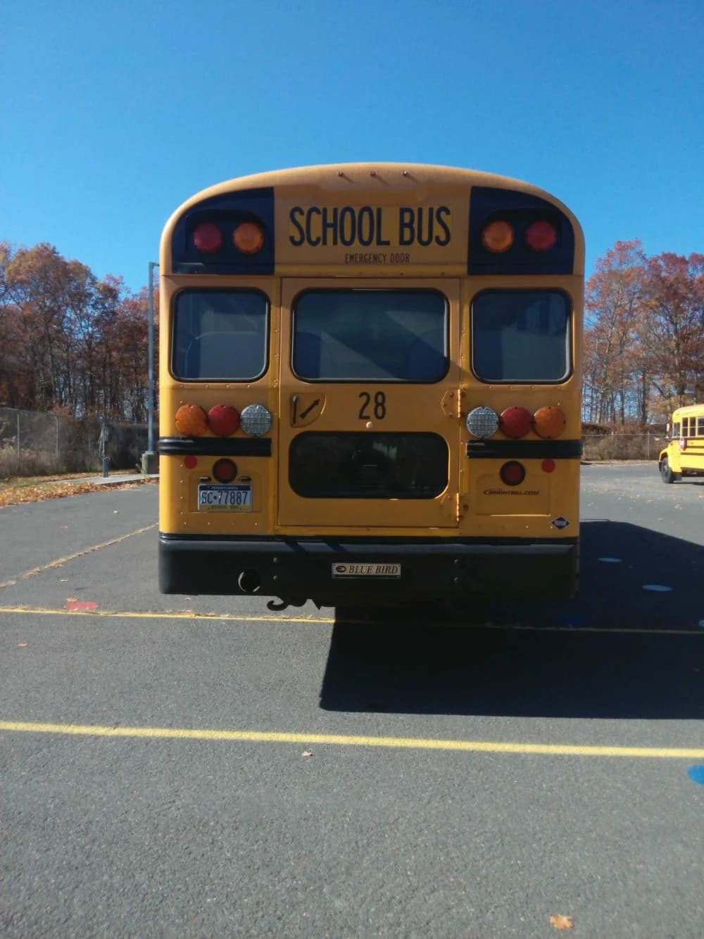 Group of 10 2018/2019 Blue Bird BB CV 3303 - Image 5