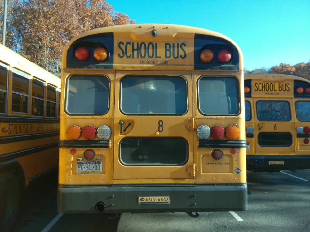 Group of 5 2019 Blue Bird BB CV 3303 - Image 6