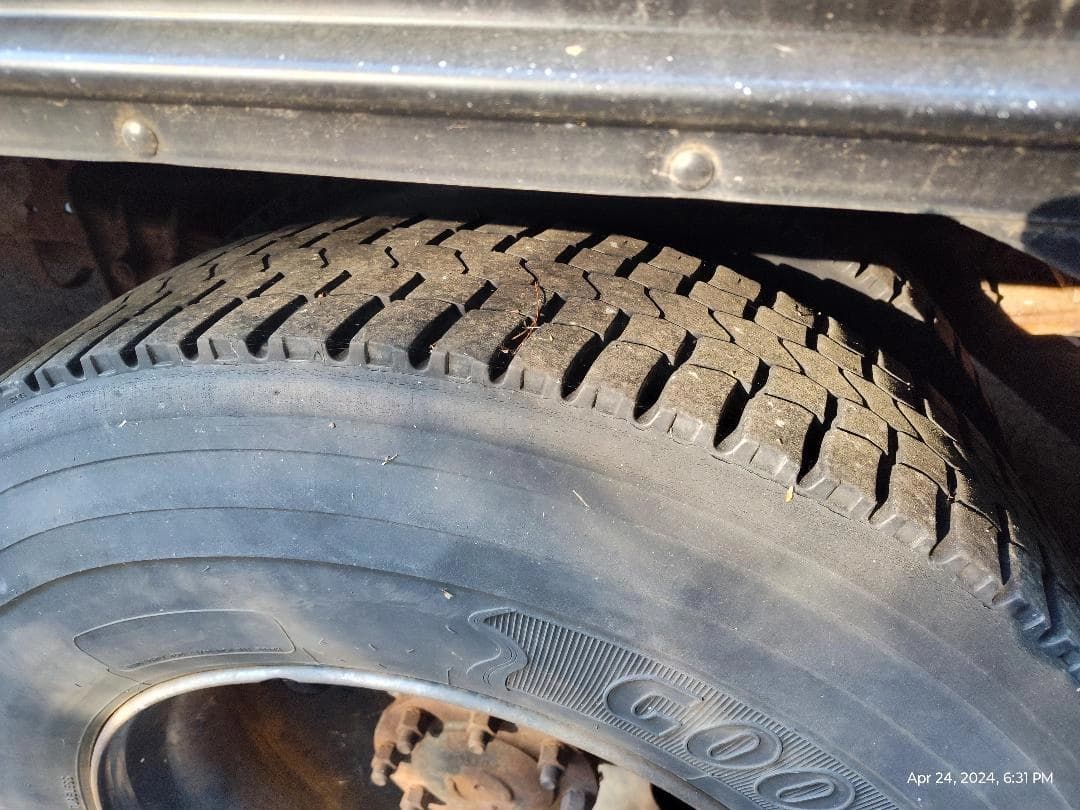 2005 Blue Bird snub nose Partial Conversions - Image 4