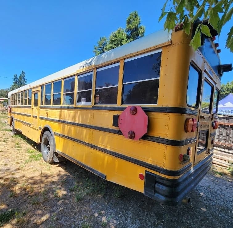 1999 International 3000 Skoolie Conversion - Image 2