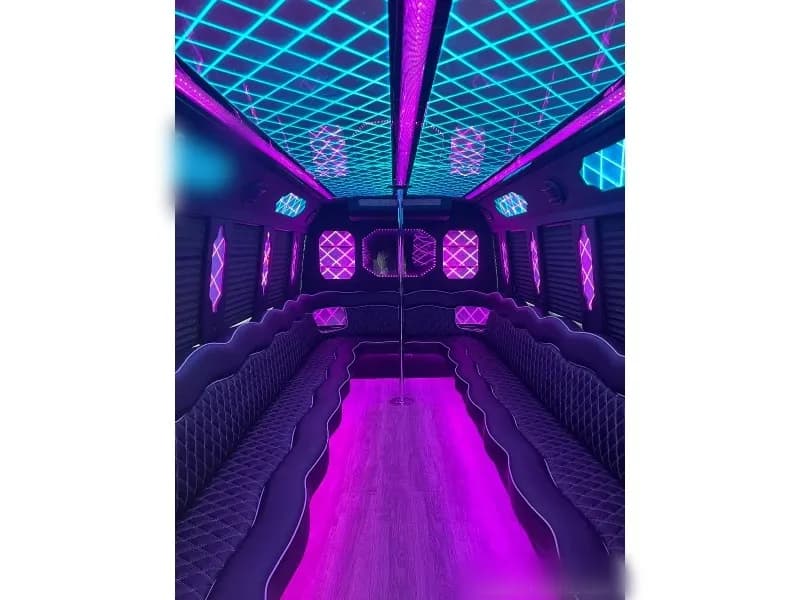 2012 Ford E-450 Limo Bus - Image 5