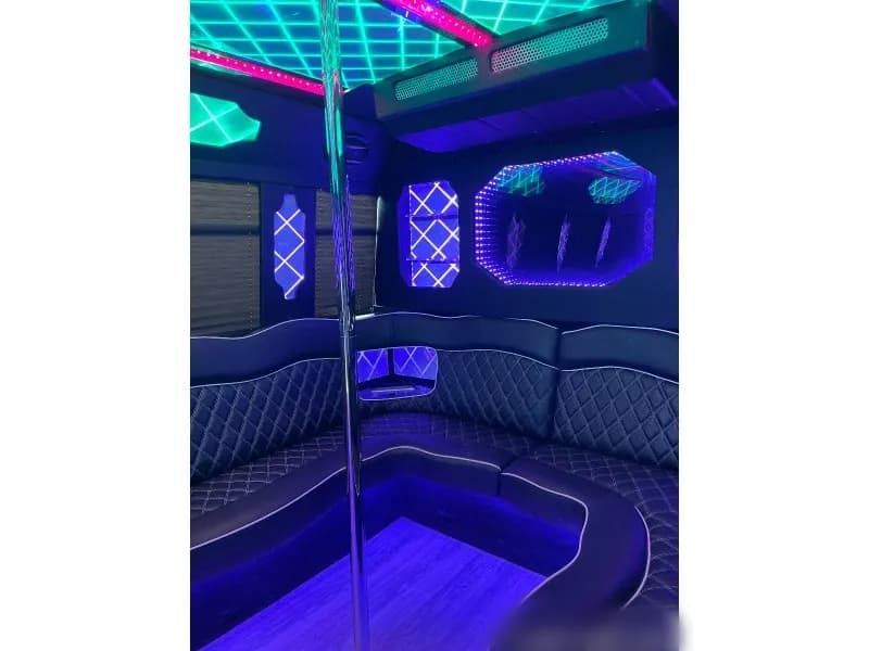 2012 Ford E-450 Limo Bus - Image 6