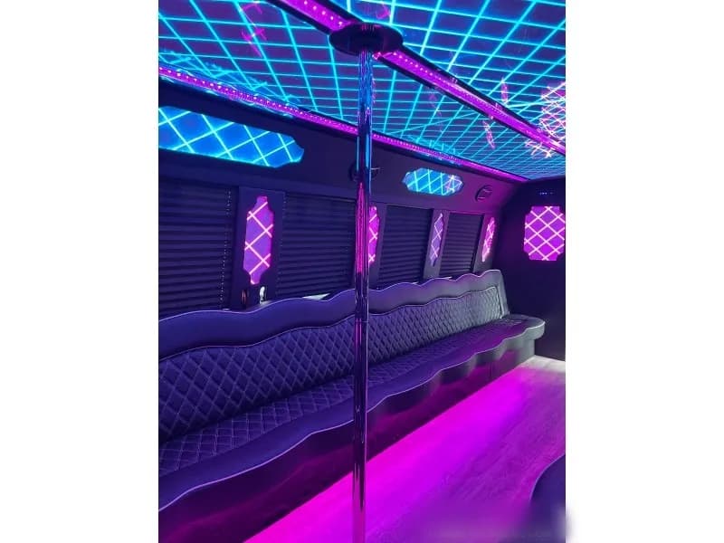 2012 Ford E-450 Limo Bus - Image 16