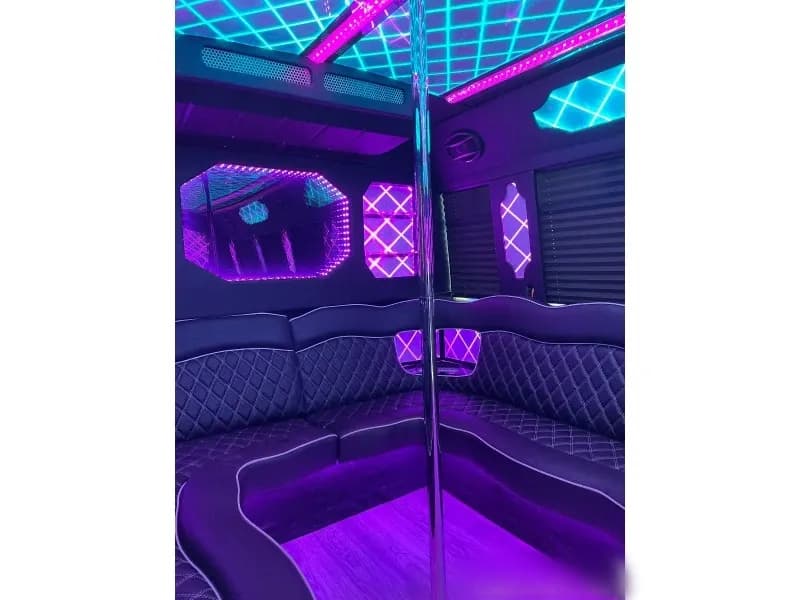 2012 Ford E-450 Limo Bus - Image 17