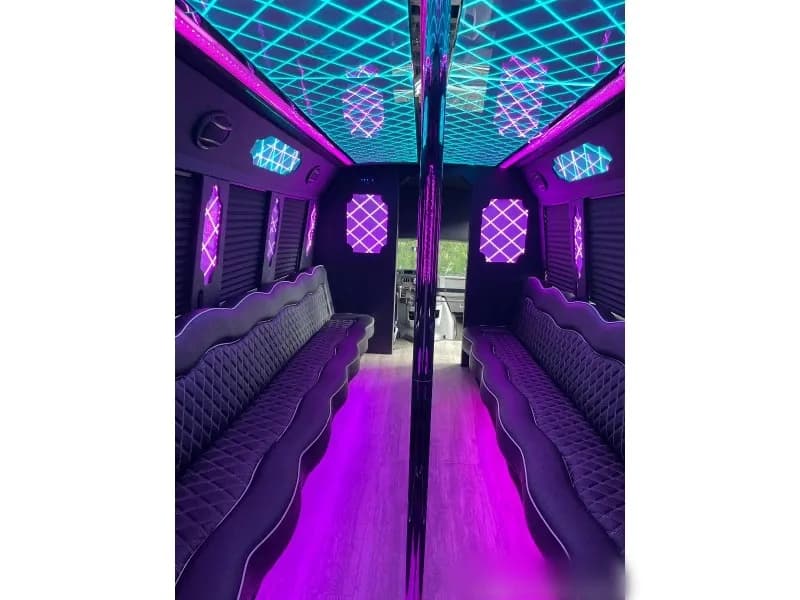 2012 Ford E-450 Limo Bus - Image 19