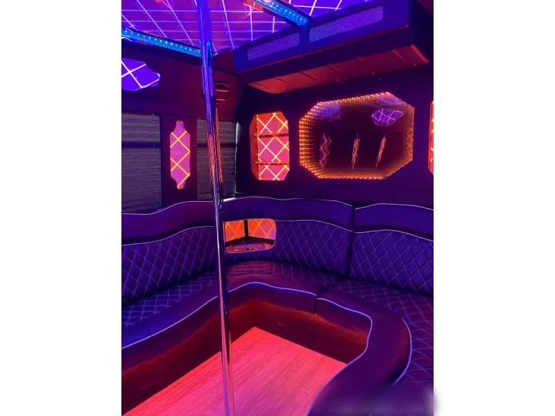 2012 Ford E-450 Limo Bus - Image 9