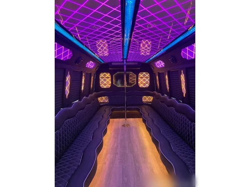 2012 Ford E-450 Limo Bus - Image 10