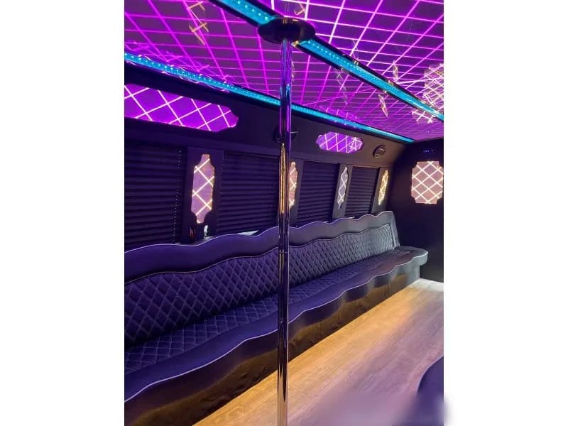 2012 Ford E-450 Limo Bus - Image 11