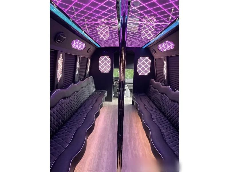 2012 Ford E-450 Limo Bus - Image 13