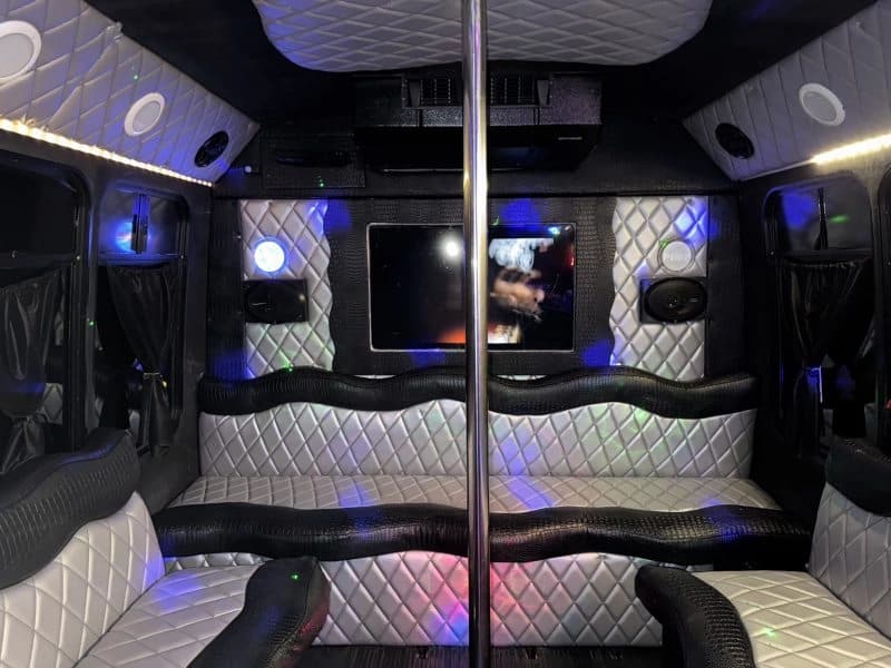 2011 Ford E 350 Super Duty Limo Bus - Image 5