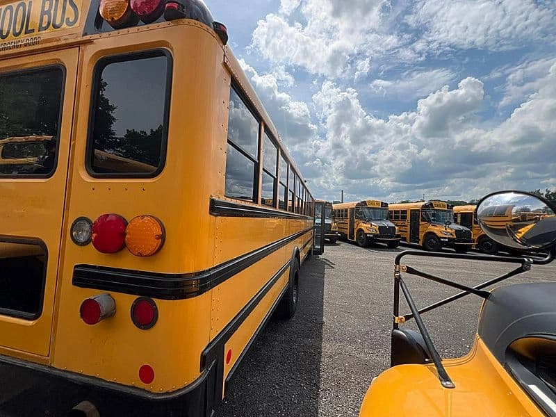 2014 IC CE School Bus - Image 11