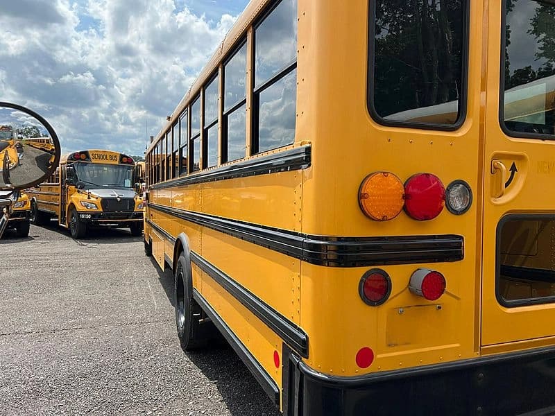 2014 IC CE School Bus - Image 8