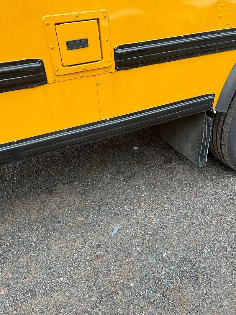 2026 IC PB110 School Bus - Image 11