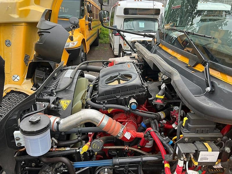 2026 IC PB110 School Bus - Image 4