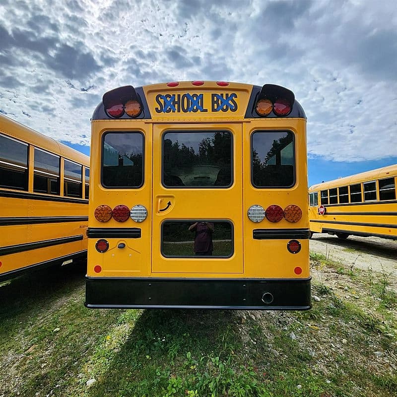 2024 IC CE School Bus - Image 3