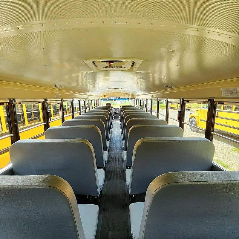2024 IC CE School Bus - Image 5