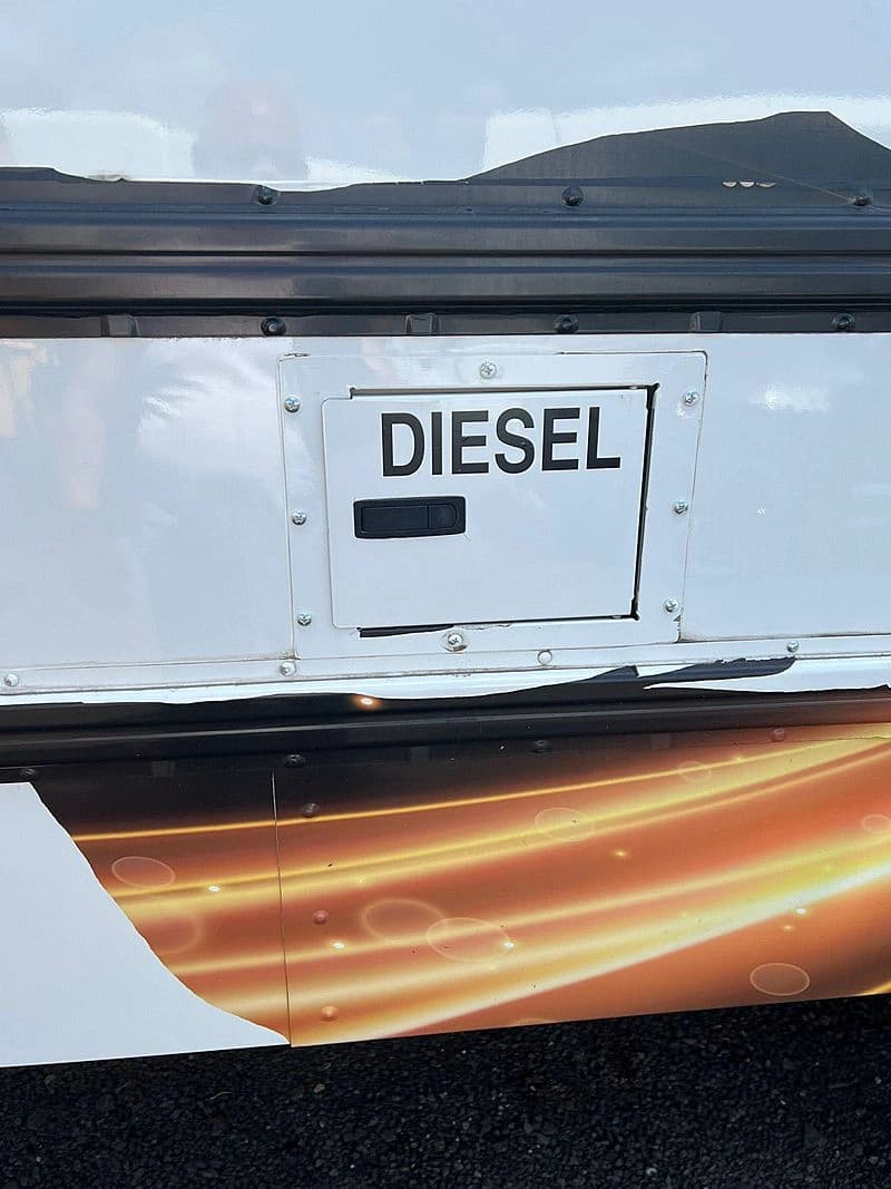 2019 IC Bus PB105 School Bus - Image 6