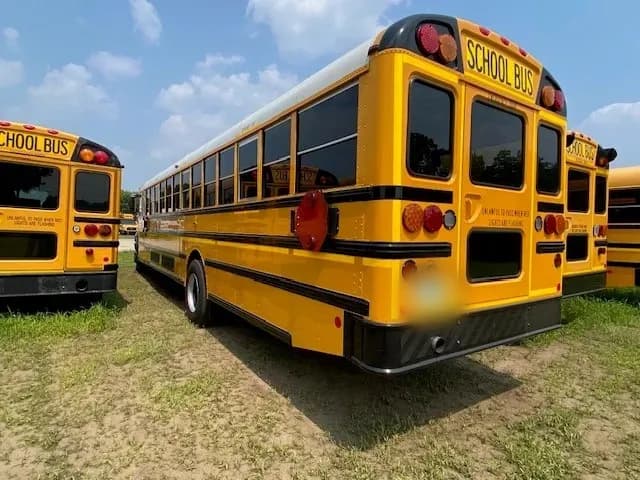 2023 IC CE School Bus - Image 2