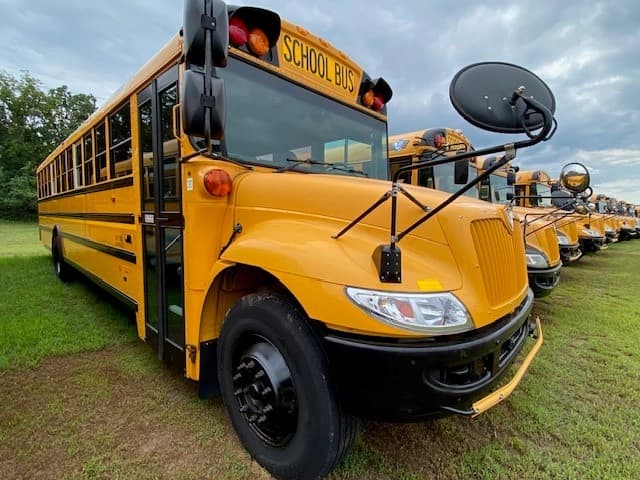 2019 IC CE School Bus - Image 1