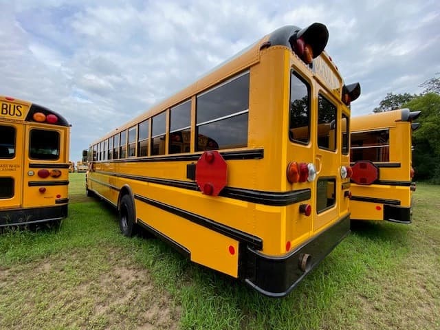 2019 IC CE School Bus - Image 4