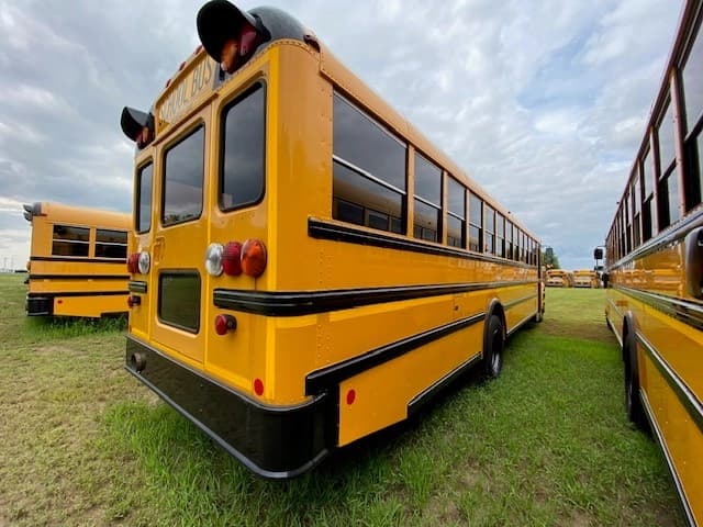 2019 IC CE School Bus - Image 5
