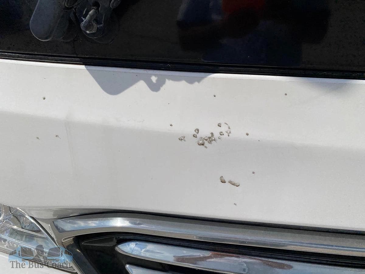 2023 Mercedes benz Tourrider Coach - Image 5