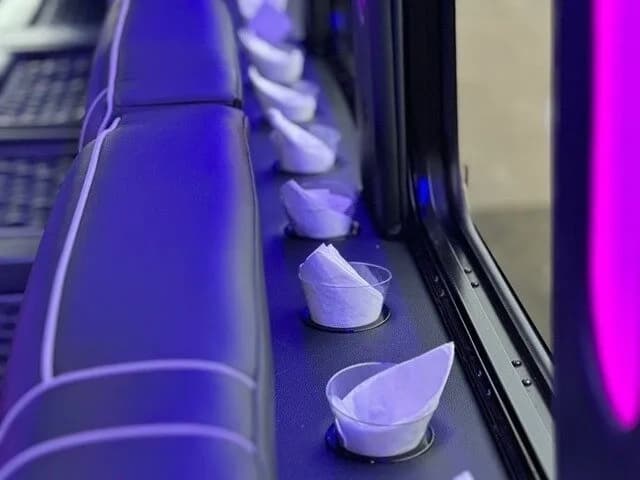 2014 IC Starcraft Limo Bus - Image 12